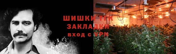 молекула духа Новодвинск