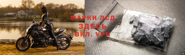 молекула духа Новодвинск