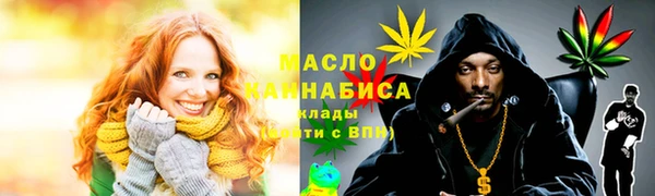 молекула духа Новодвинск