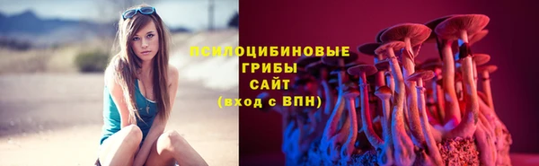 каннабис Новокубанск