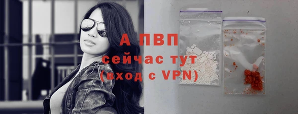 каннабис Новокубанск