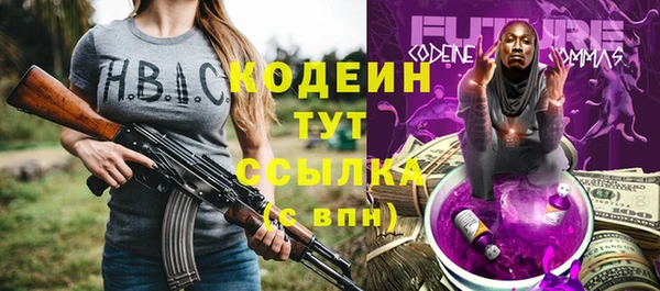 молекула духа Новодвинск