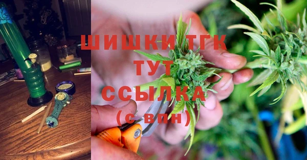 молекула духа Новодвинск