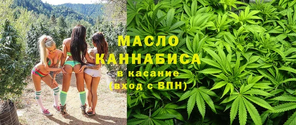 молекула духа Новодвинск