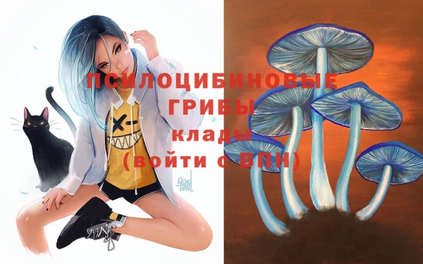 наркотики Новозыбков